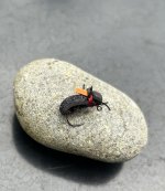 IMG_3455.jpeg