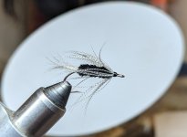 PXL_20240210_000008421.MP.jpg