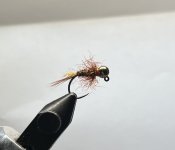 IMG_6523.jpeg