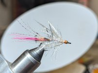 PXL_20240210_030512249.MP.jpg