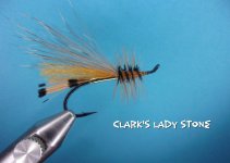 Clark's Lady Stone.jpg