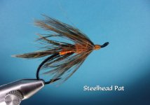 Steelhead Pat.jpg