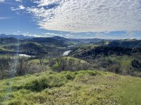 IMG_2789.jpeg