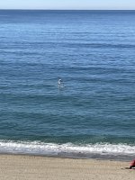 IMG_3544.jpg