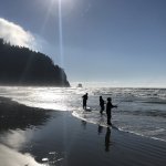 IMG_6347.jpeg