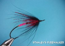 Stanley's Firewalker.jpg