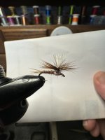 IMG_0398.jpeg