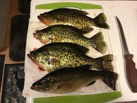 IMG_3650.jpeg