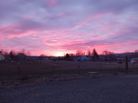 20240214_070407.jpg