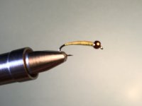 7CE73EE2-E53A-4D53-BEAD-F7EF5D929D71.jpeg