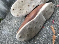 IMG_7304.jpeg