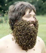 1707956329331.png