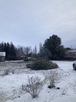 IMG_9254.jpeg