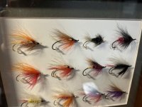 IMG_1141.jpeg IMG_1141.jpeg