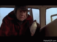 1708069245181.gif 1708069245181.gif