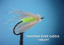 Thompson River Caddis.jpg