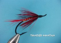 Thunder Mountain.jpg