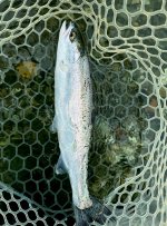 IMG_20240216_142226.jpg