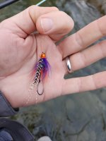 20240215_083918.jpg