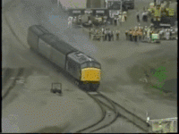 200w (1).gif 200w (1).gif