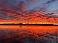 IMG_6107.jpeg