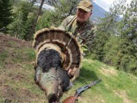 Kettle Falls Turkey 1.JPG