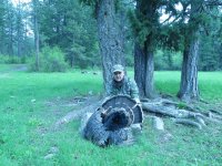 Montana Turkey.jpg