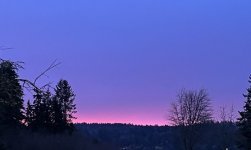 IMG_6494.jpeg
