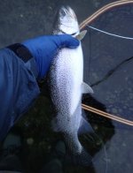 IMG_6515.jpeg