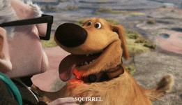 giphy (1).gif