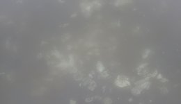 IMG_6554.jpeg
