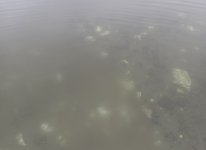 IMG_6555.jpeg