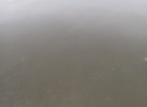 IMG_6556.jpeg