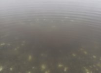 IMG_6557.jpeg