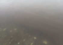 IMG_6558.jpeg