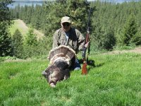 Turkey 97 12ga.JPG Turkey 97 12ga.JPG
