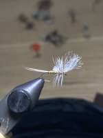 IMG_8397.jpeg