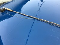 IMG_3662.jpeg IMG_3662.jpeg