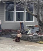 IMG_0760.jpeg