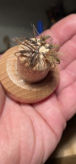 IMG_2824.jpeg