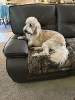 IMG_3359.jpeg