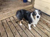 IMG_1312.jpeg