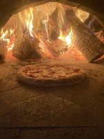 IMG_8404.jpeg IMG_8404.jpeg