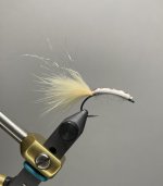 IMG_3492.jpeg