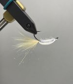 IMG_3490.jpeg