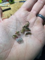 IMG_4848.jpeg
