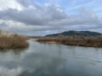 IMG_2801.jpeg