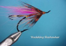 Wedeking Slayhawker.jpg