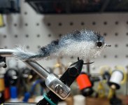 IMG_6572.jpeg