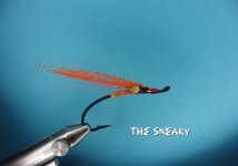 The Sneaky.jpg